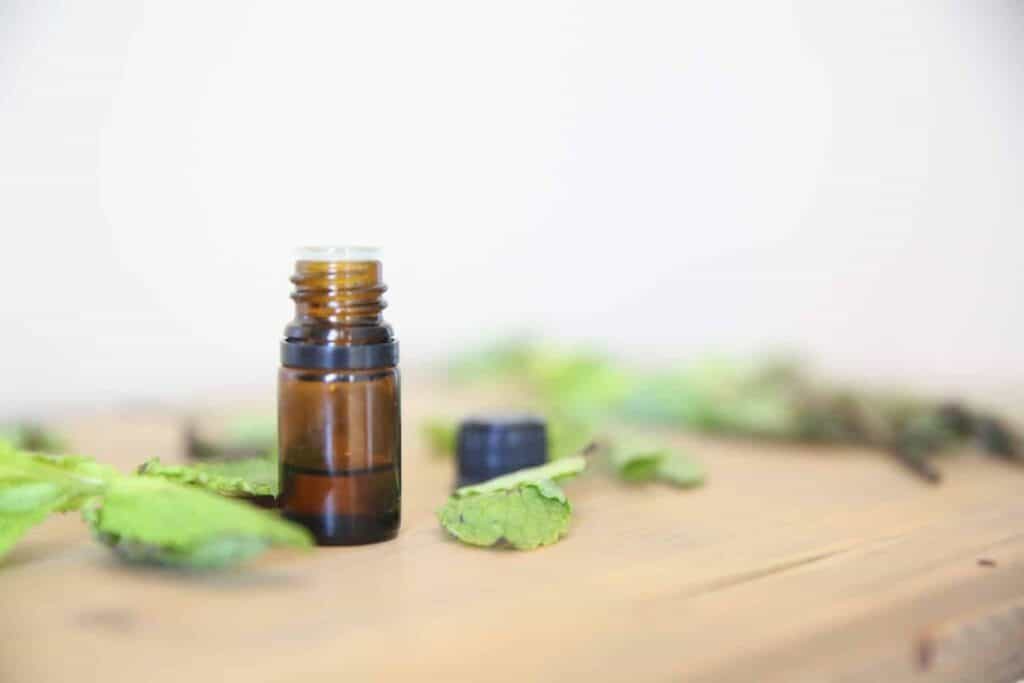 Uses and DIY Recipes: Peppermint Essential Oil