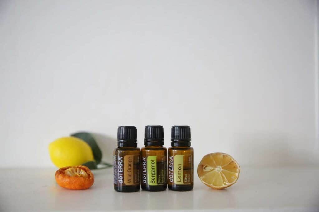 Essential oil diffuser blend oils with dried lemon and orange