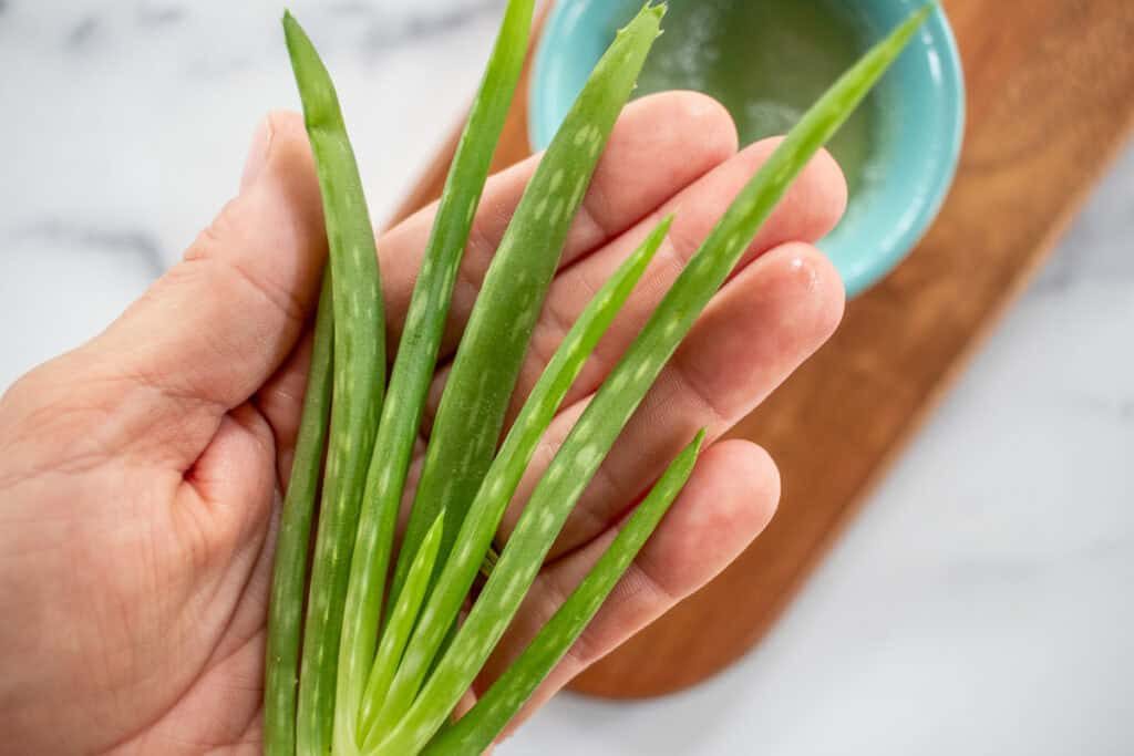 10 Best Uses for: Aloe Vera on the Face