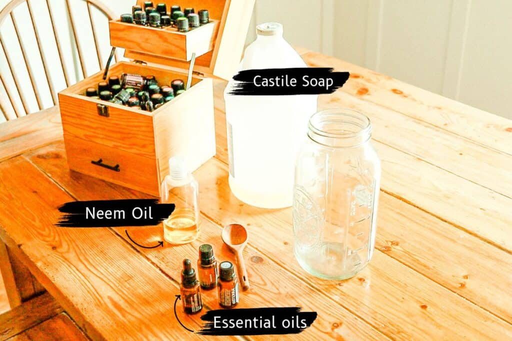 DIY bug spray for plants ingredients.