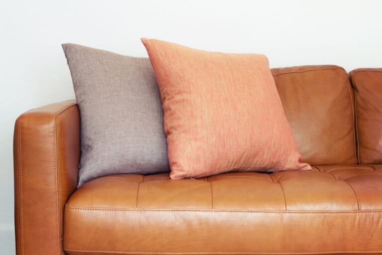 Homemade Leather: Sofa Cleaner