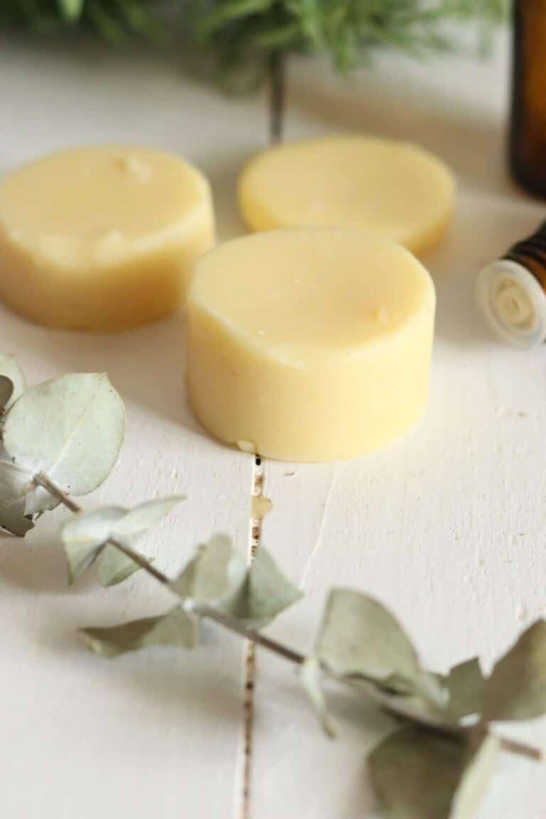 DIY bug repellent lotion bars on table with eucalyptus stems and glass oil bottles.