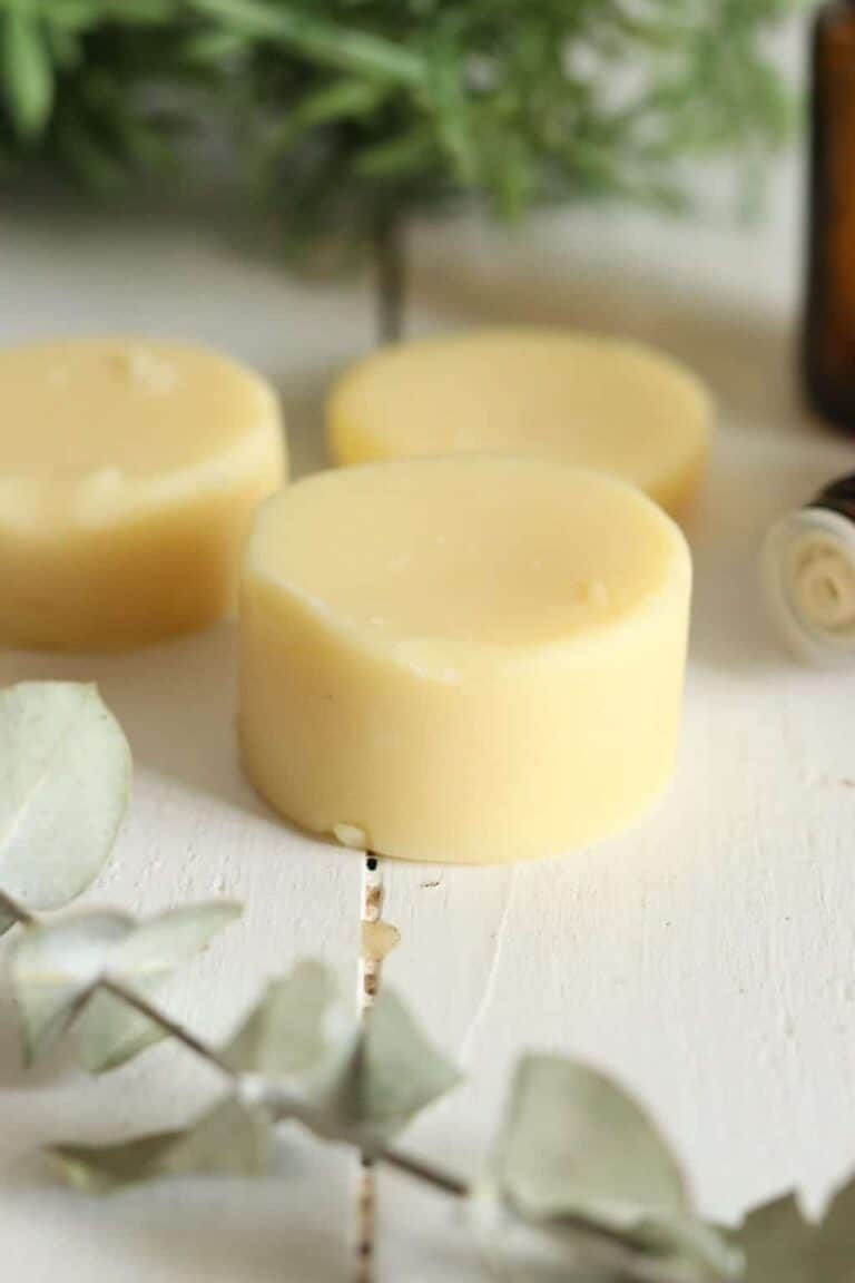 DIY Bug: Repellent Lotion Bars