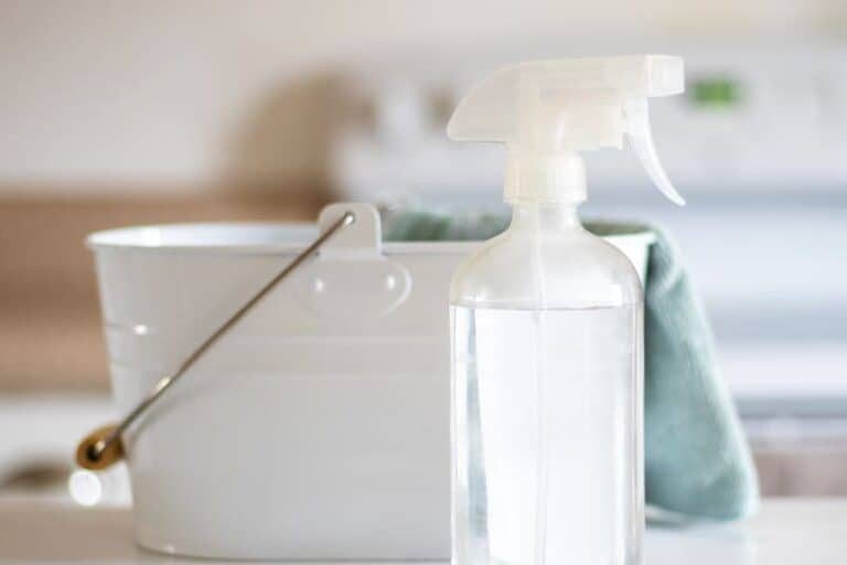 DIY Anti-Mold Spray