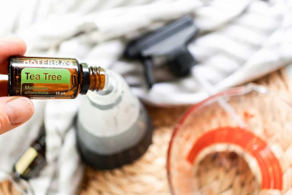 Adding tea tree oil to the spray bottle.