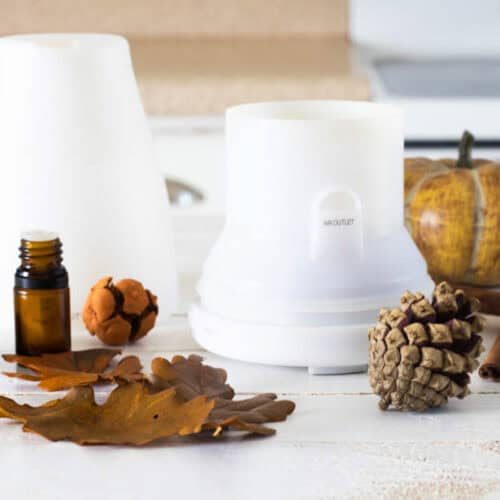 A diffuser with fall essential oils, dried leaves, and a pinecone.