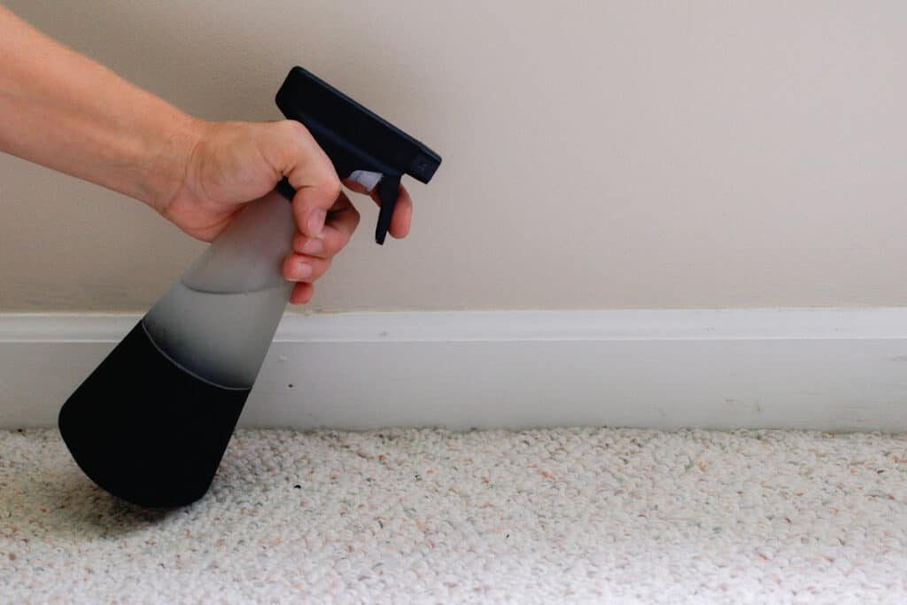 DIY Spider Repellent
