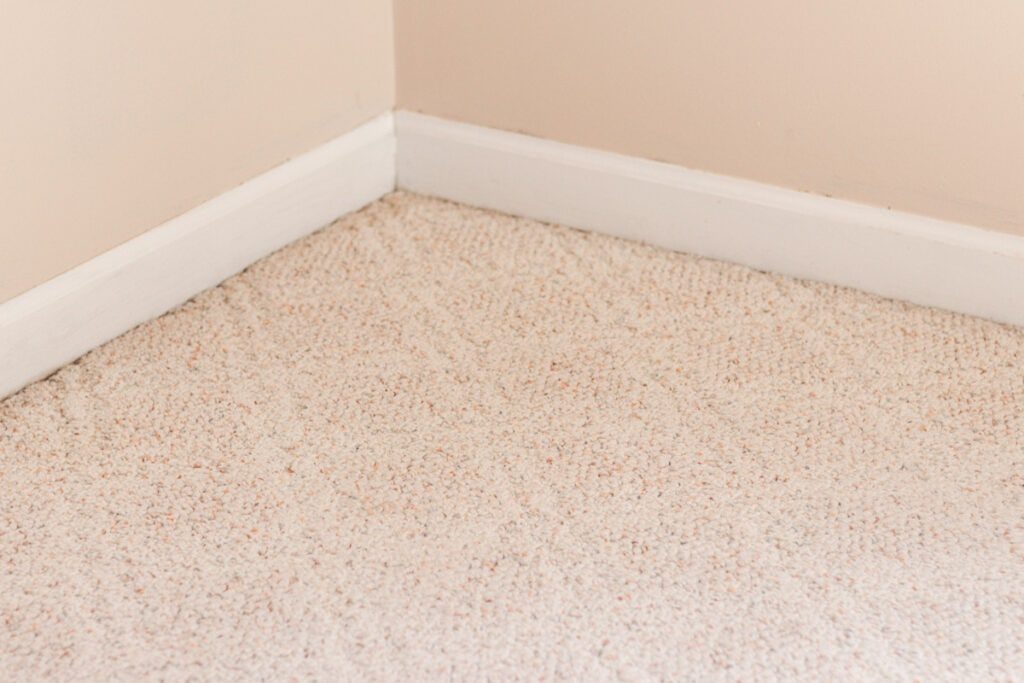 A clean stain free piece of carpet after getting the ash and soot stain out with baking soda.