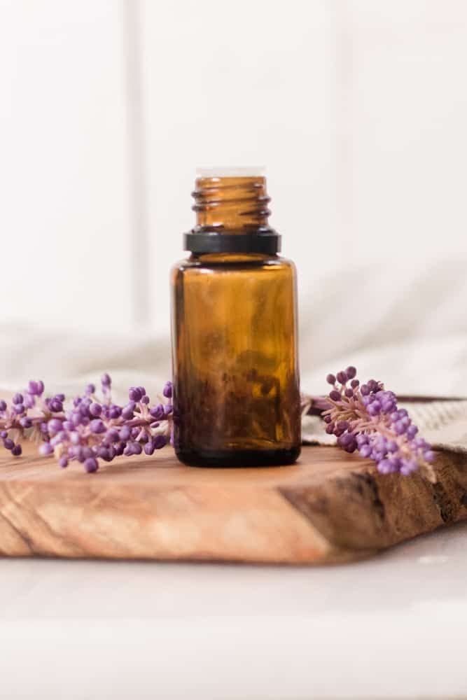 Uses, Blends, and DIY Recipes: Lavender Essential Oil