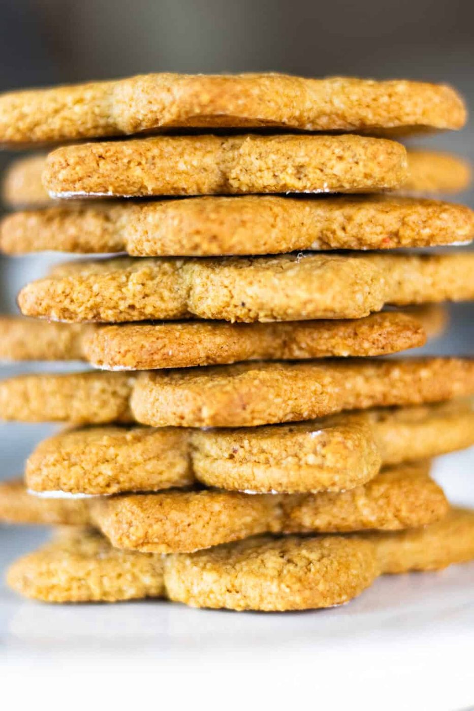 Easy Paleo: Christmas Sugar Cookies