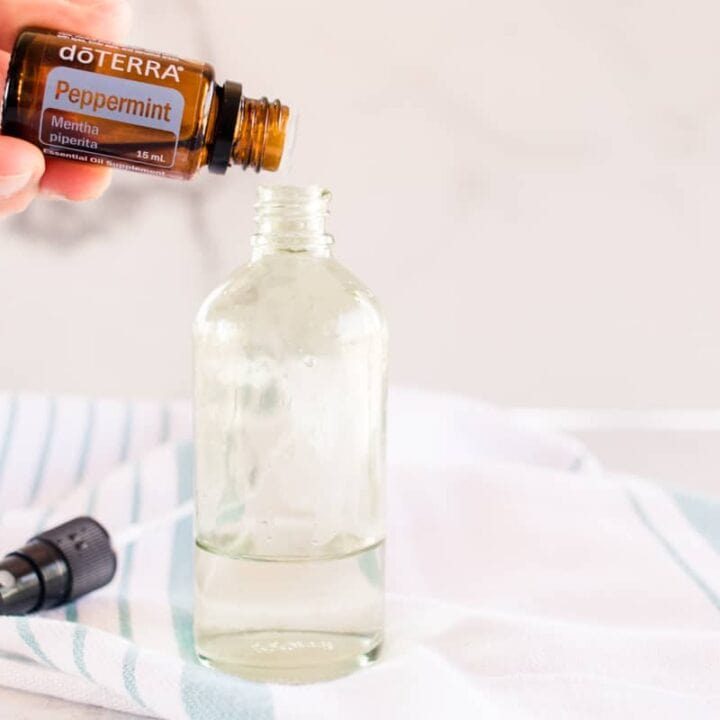 Adding peppermint essential oil to a mice repellent spray.