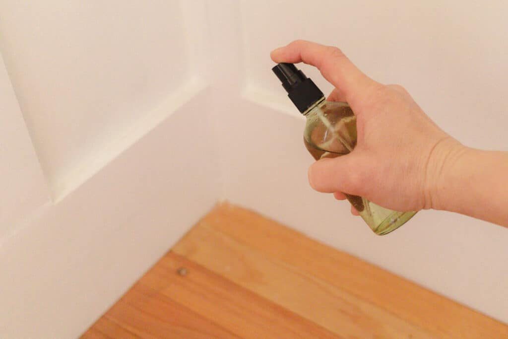 Spraying peppermint oil spray to repel mice.