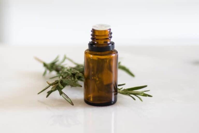 Uses, Blends, and DIY Recipes: Rosemary Essential Oil