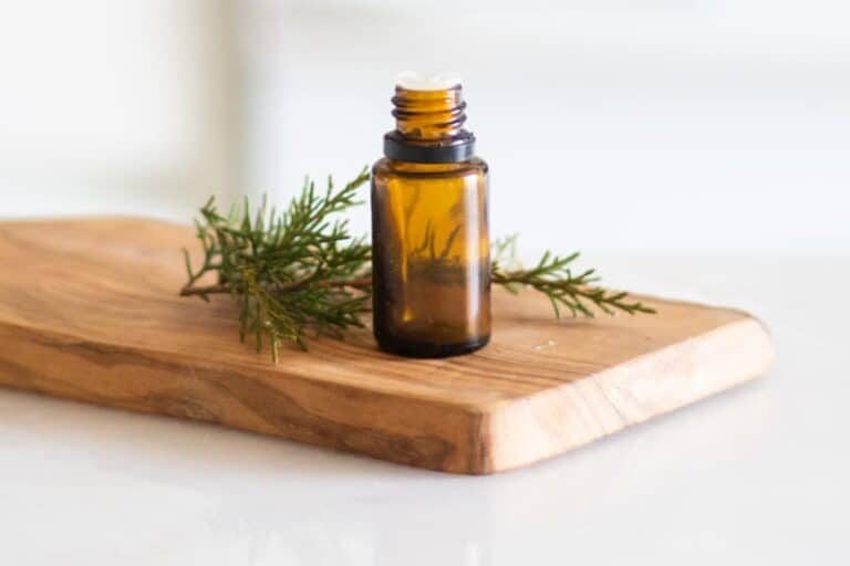Uses, Blends, and DIY Recipes: Siberian Fir Essential Oil