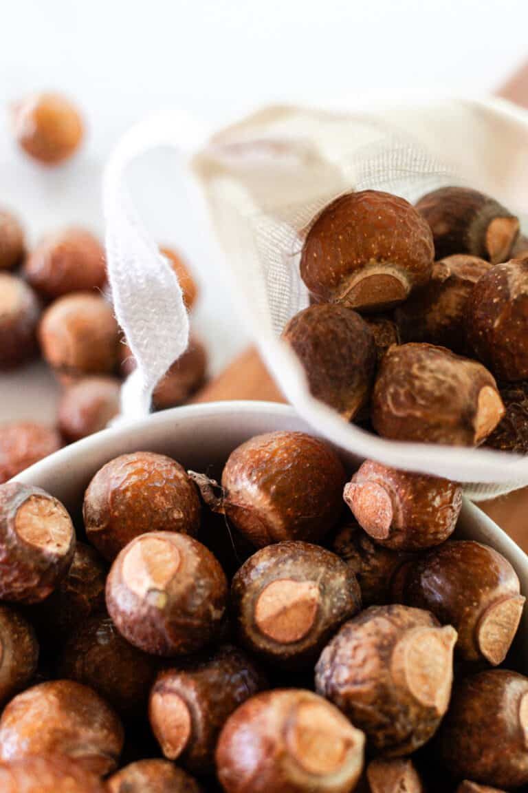 Soap Nut Benefits for the Hair and Skin