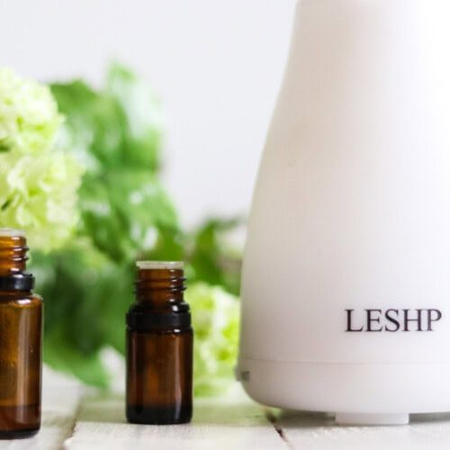 A diffuser with green flowers and bottles of essential oils.