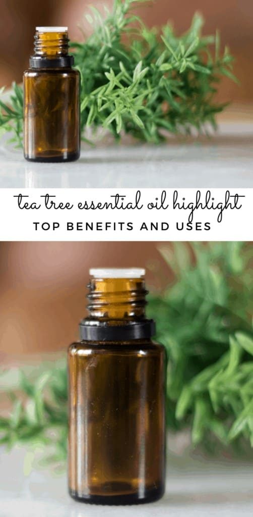 tea tree essential oil bottle with green leaves