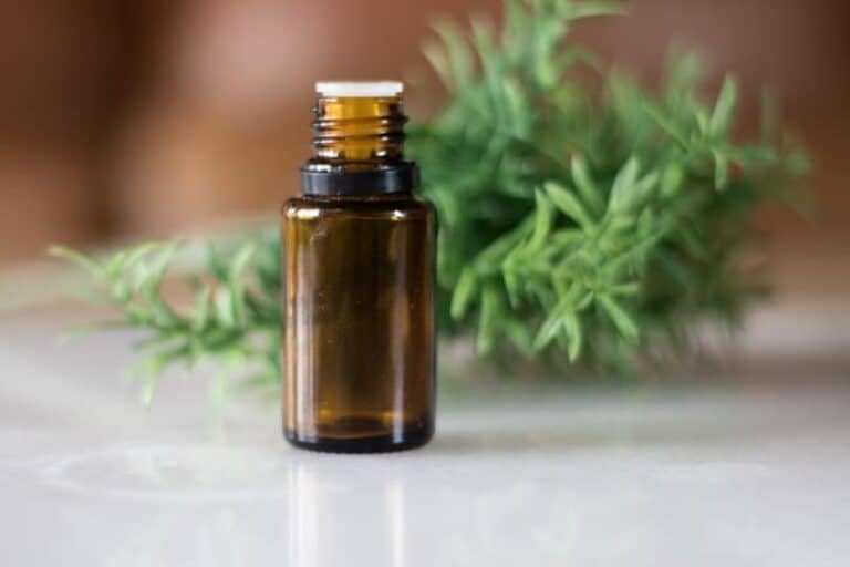 The Best Ways to Use It for Cleaning: Tea Tree Essential Oil