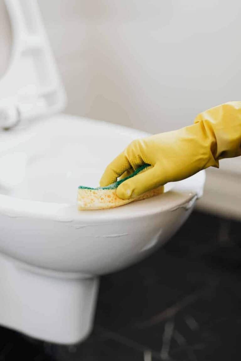 Homemade Foaming: Toilet Cleaner