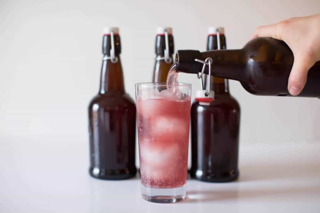 Water Kefir Soda