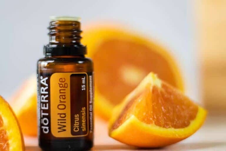wild orange essential oil and oranges on white background