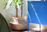 Michael’s Room Makeover: The Story So Far