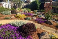 The Xeriscape Advantage
