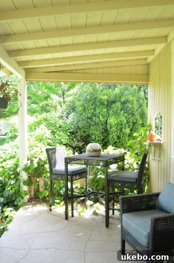 Boho Bungalow Side Porch Before Makeover