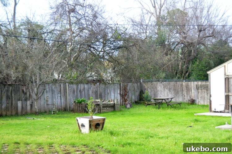 Close-up of rotting fence wood and missing panels, highlighting security and aesthetic concerns of an outdated backyard barrier.