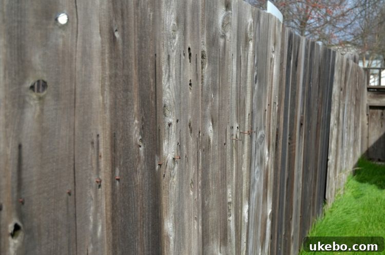 Another view of the aged and damaged fence, with sections entirely absent, exposing the property line.