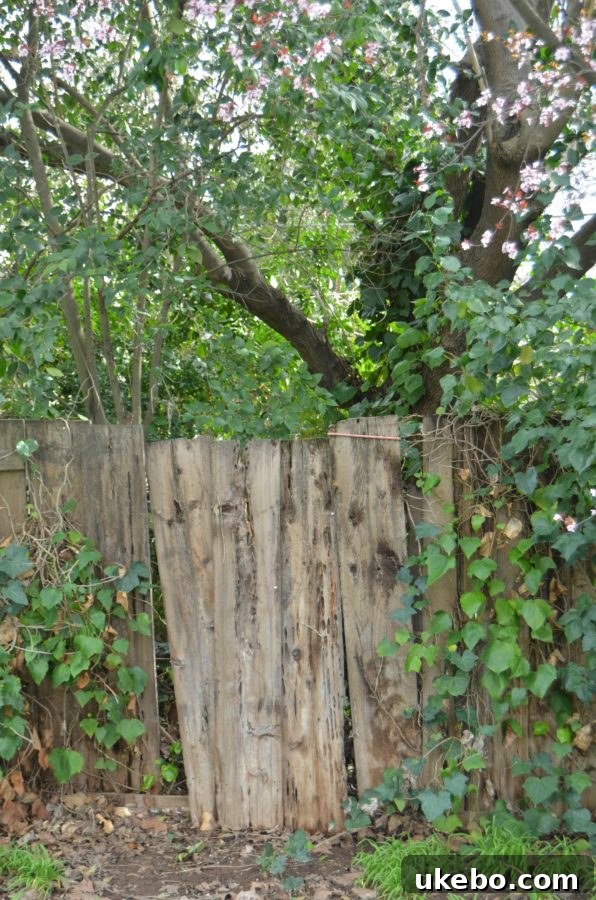 Refreshing the Cottage Bungalow's Fence Line 10 A precarious fence held together by rudimentary means, emphasizing its instability and lack of robust construction.