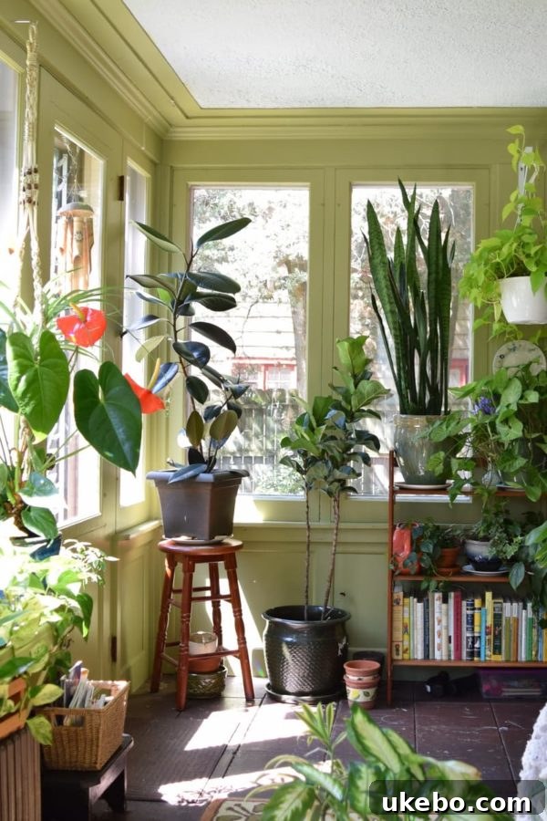 Sunroom filled with lush green plants, embodying Greenery