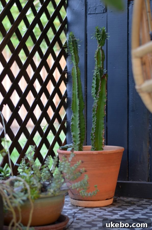 Artistic display of potted plants on a rustic stand, adding texture and natural beauty to the outdoor space.