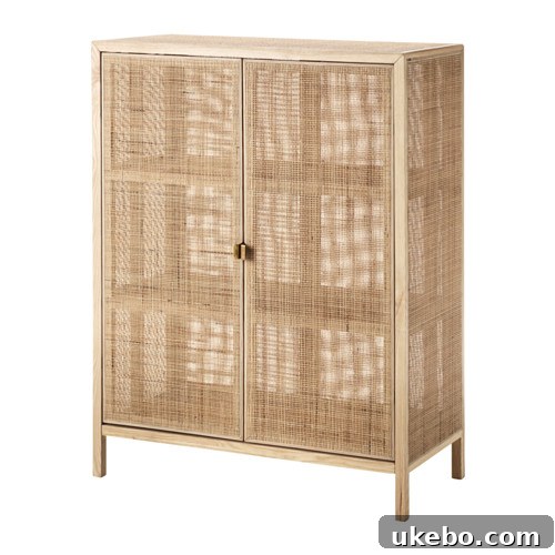 Inspiration photo for a rattan storage cabinet, showing design aesthetic