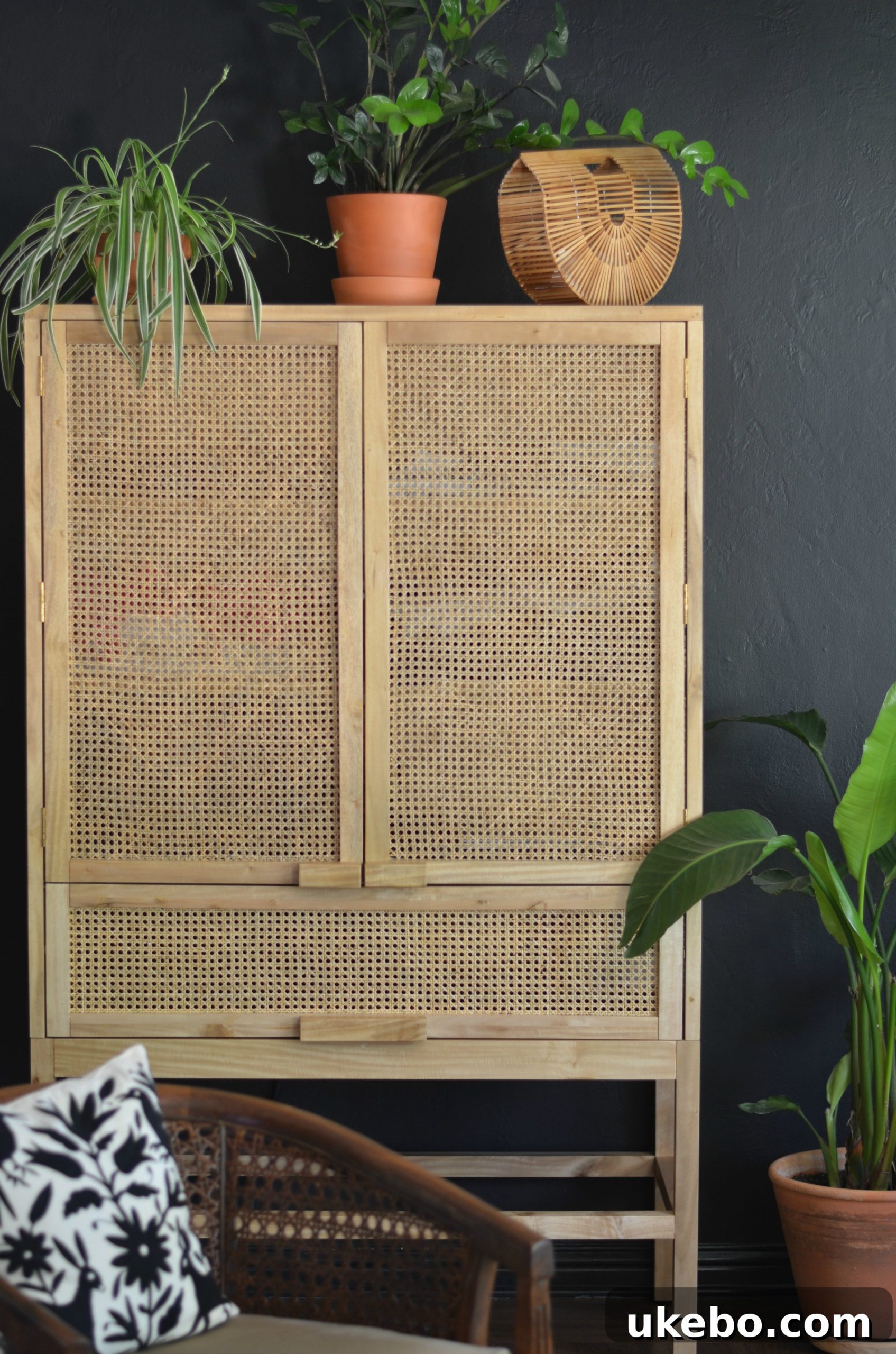 Another angle of the rattan cabinet, showcasing its proportion and texture in the room