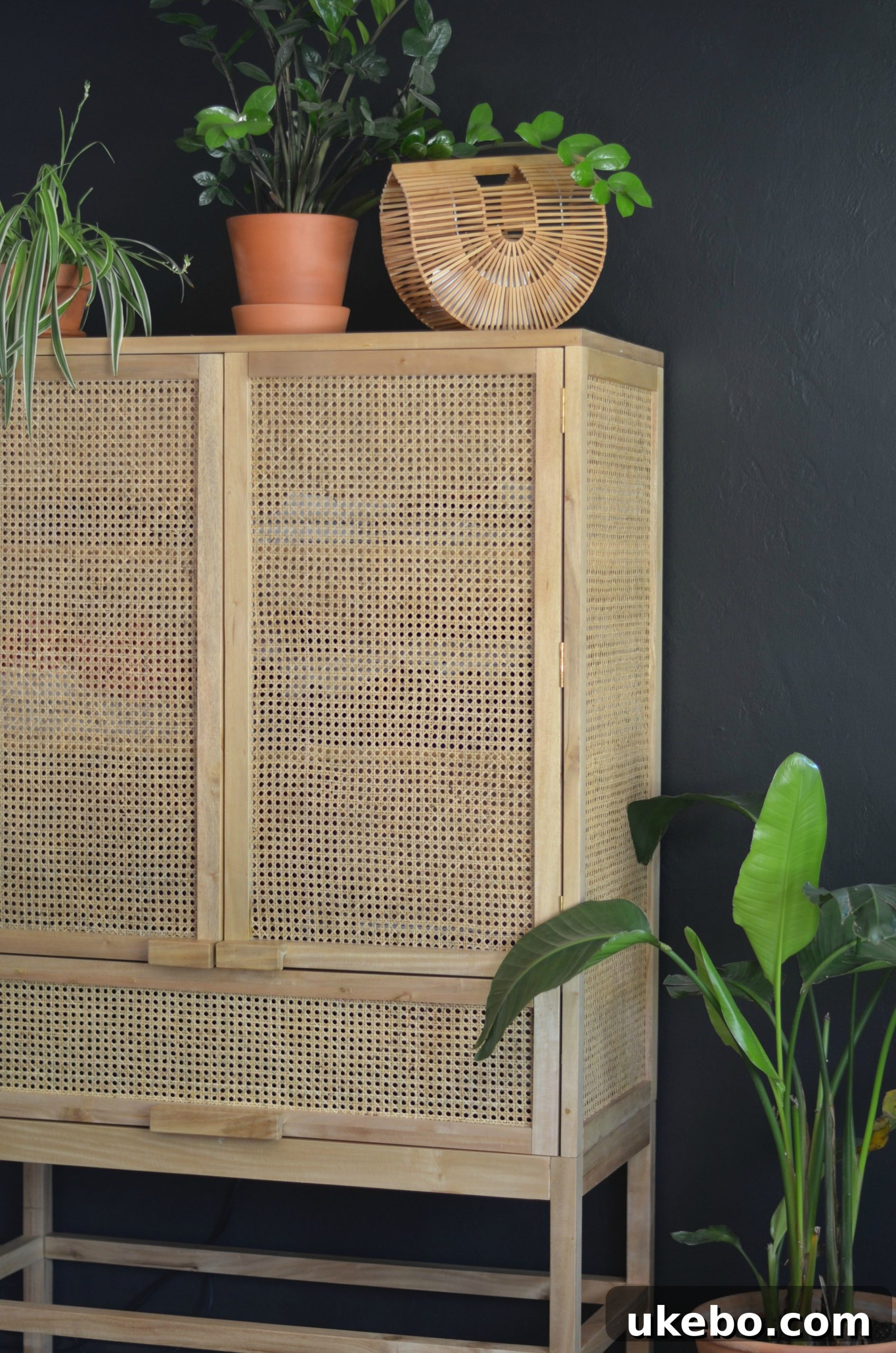 Close-up of the rattan weave and decor on the cabinet top