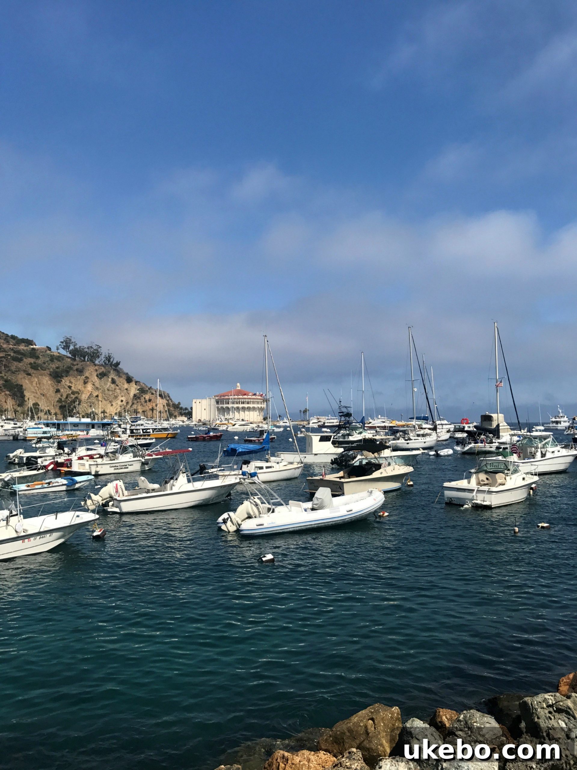View of Catalina Island's colorful harbor from a hill