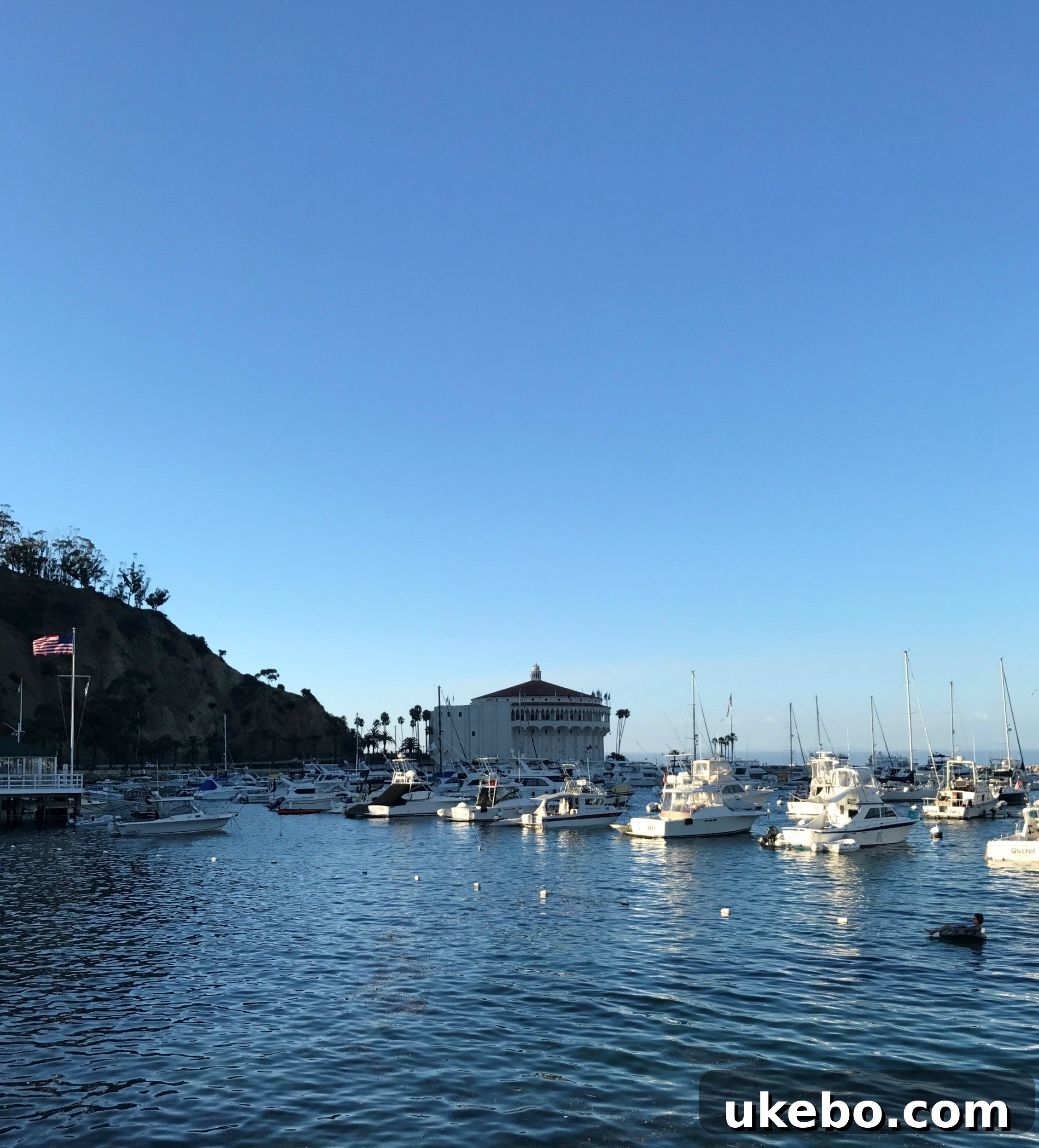 Charming street scene in Avalon, Catalina Island with shops and houses