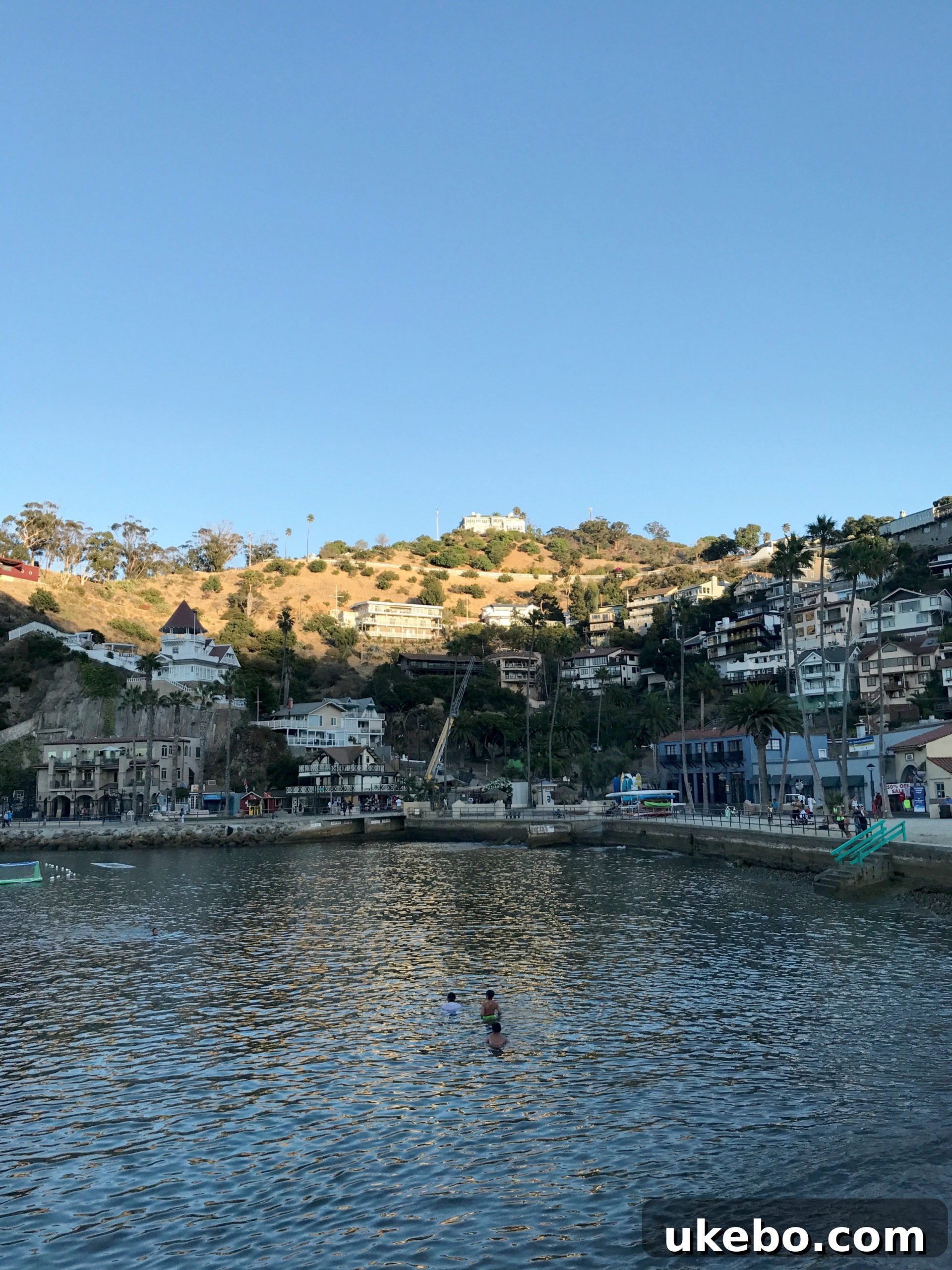 Narrow street on Catalina Island with quaint houses and lush greenery