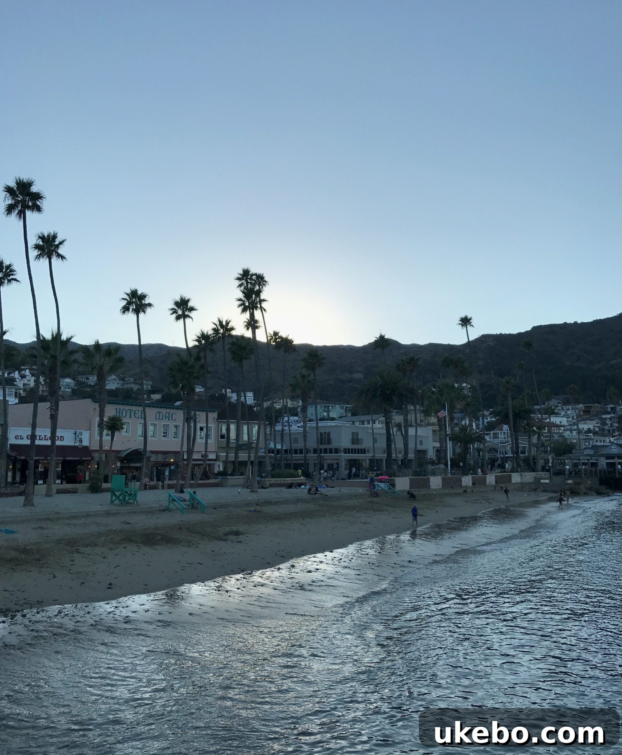 Scenic overlook on Catalina Island showing the town of Avalon and the ocean