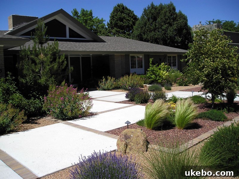 Front yard xeriscape with diverse plant textures and defined pathways
