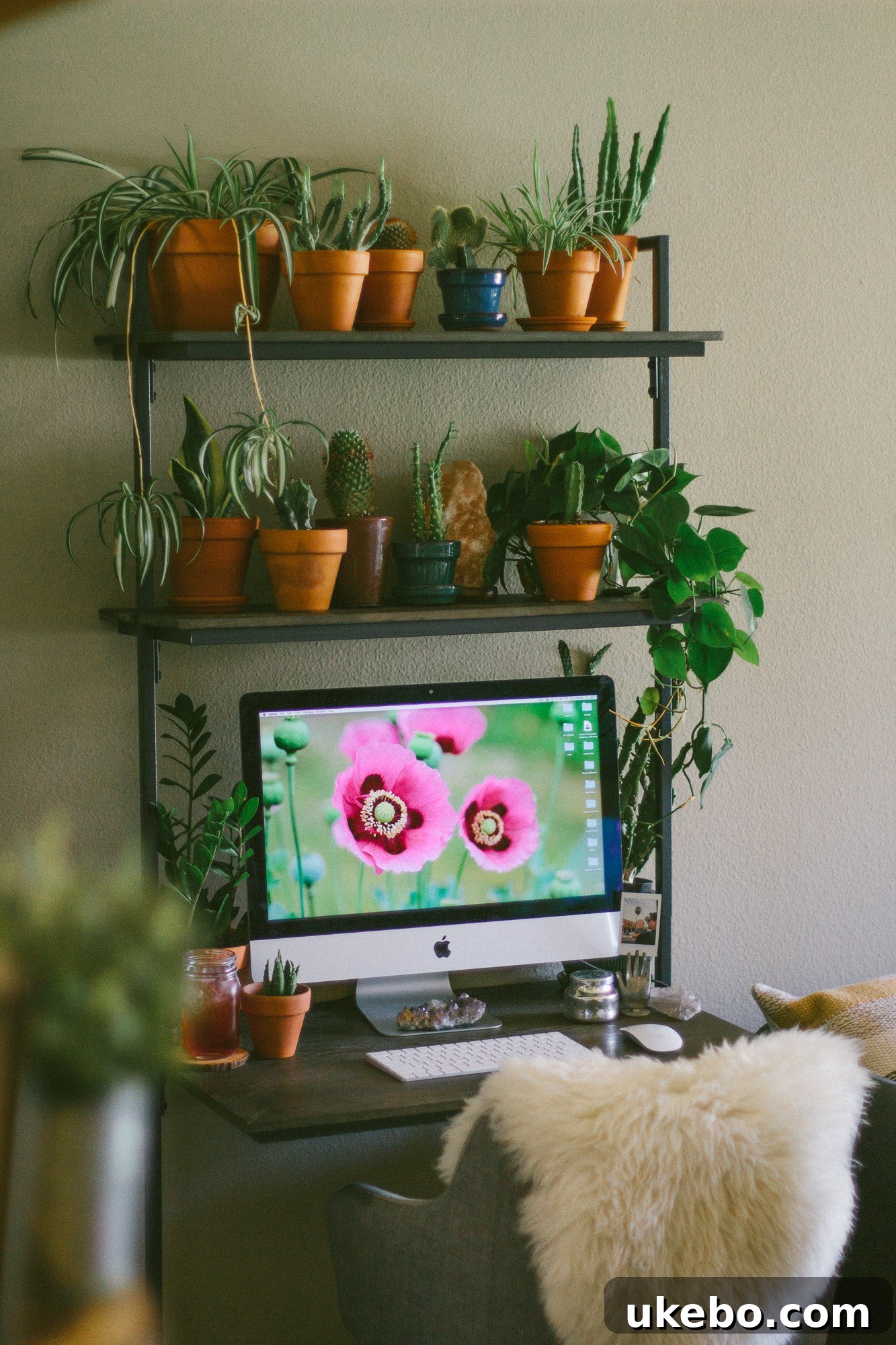 Sara's wall-mounted desk setup in the living room, adorned with plants and office essentials