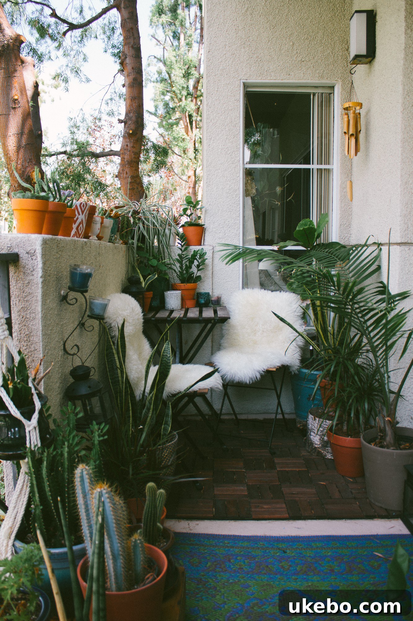 A serene corner in Sara's home with a textured throw blanket and plant