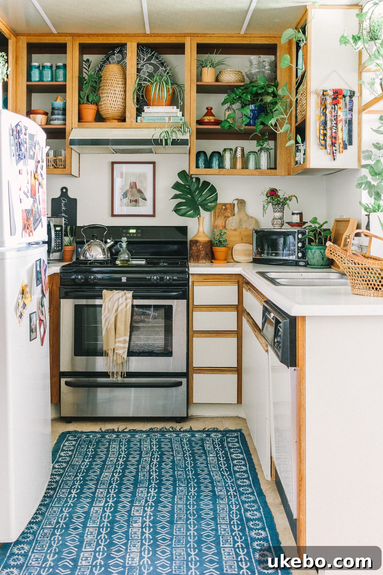 Sara's kitchen with open shelving, showing styled dishes and decor