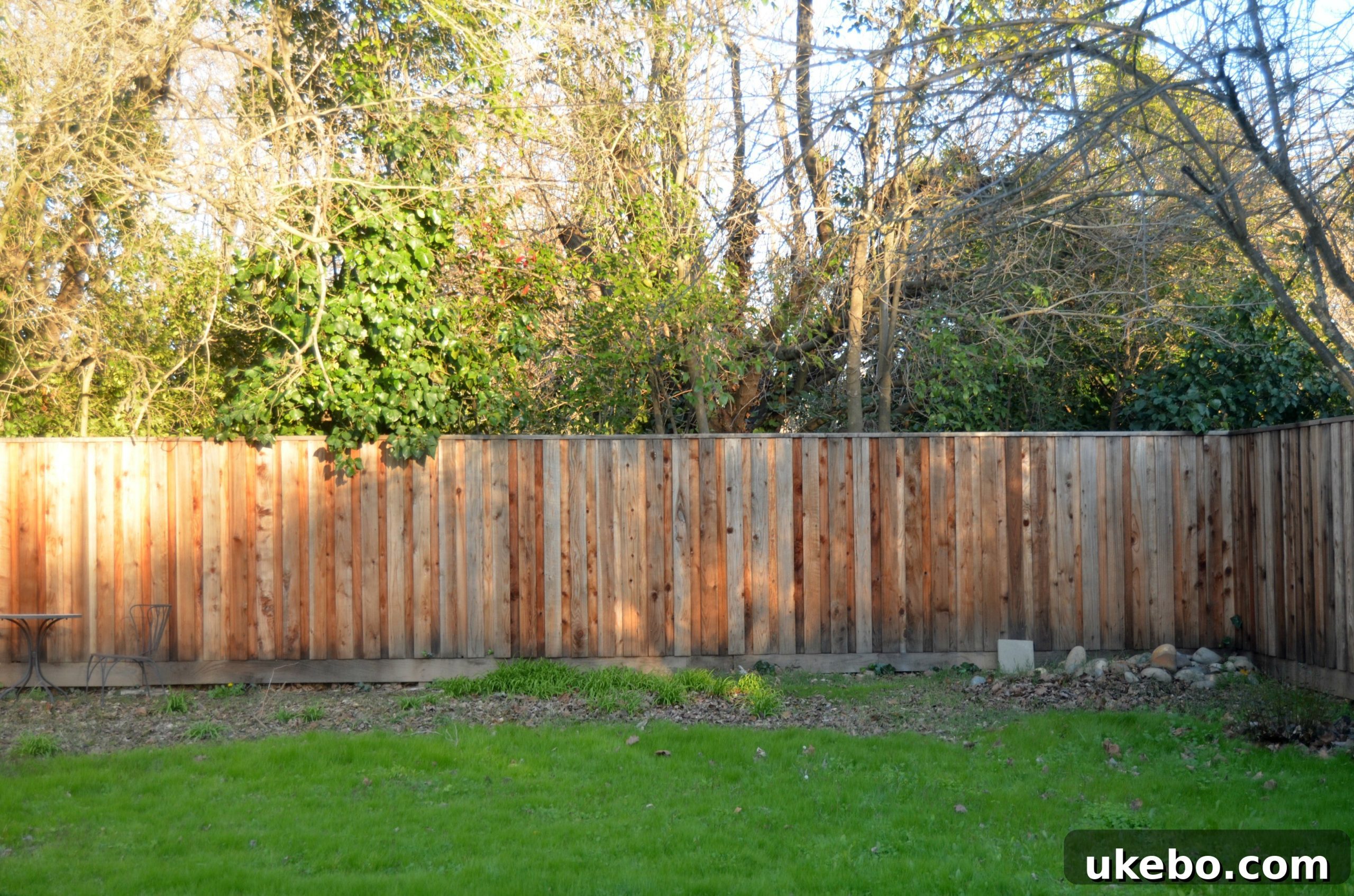 Clean, new redwood fence, completely free of the previous ivy overgrowth.