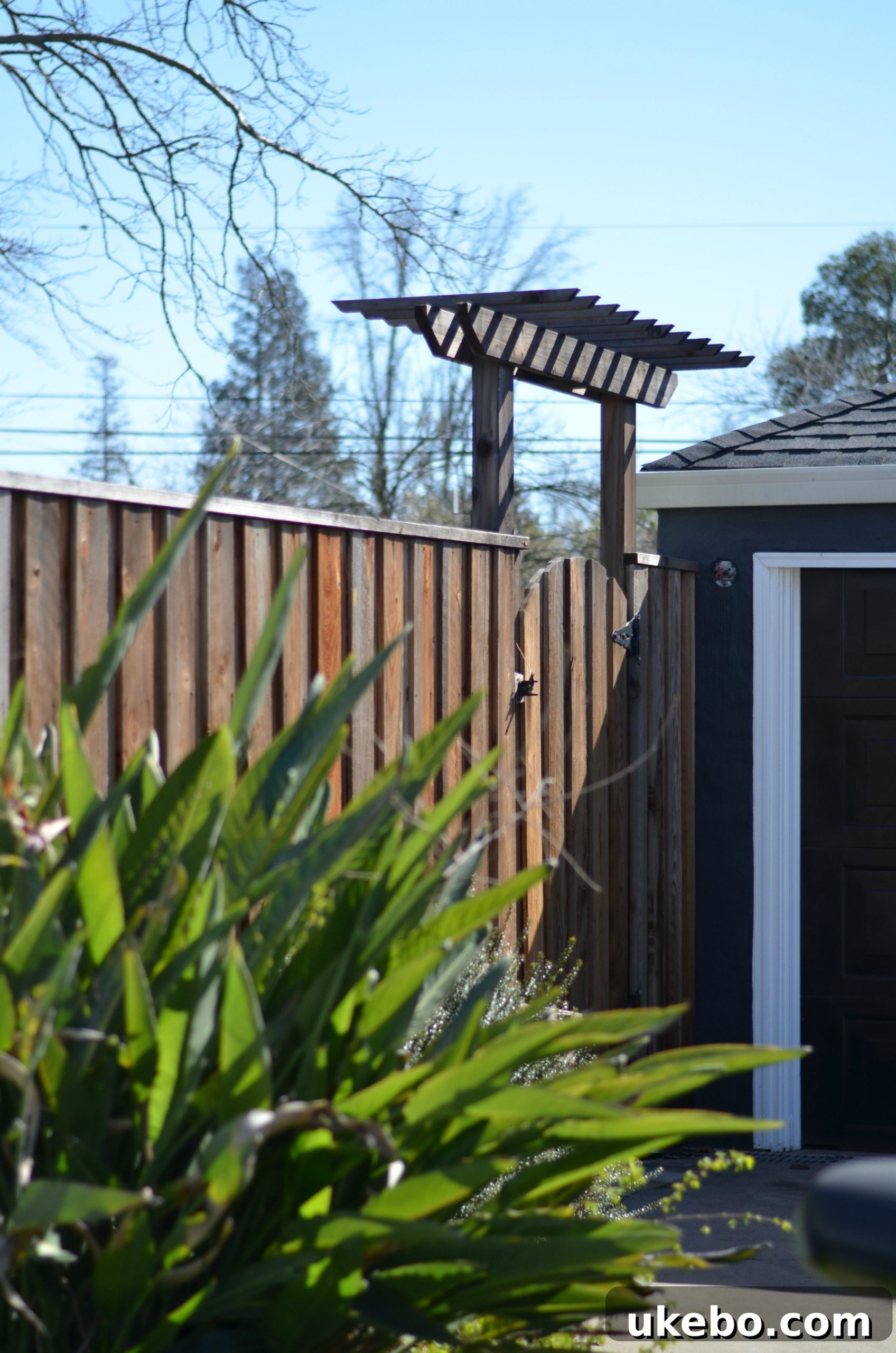 Newly installed grand redwood gate with a custom arbor, enhancing backyard security and aesthetics.