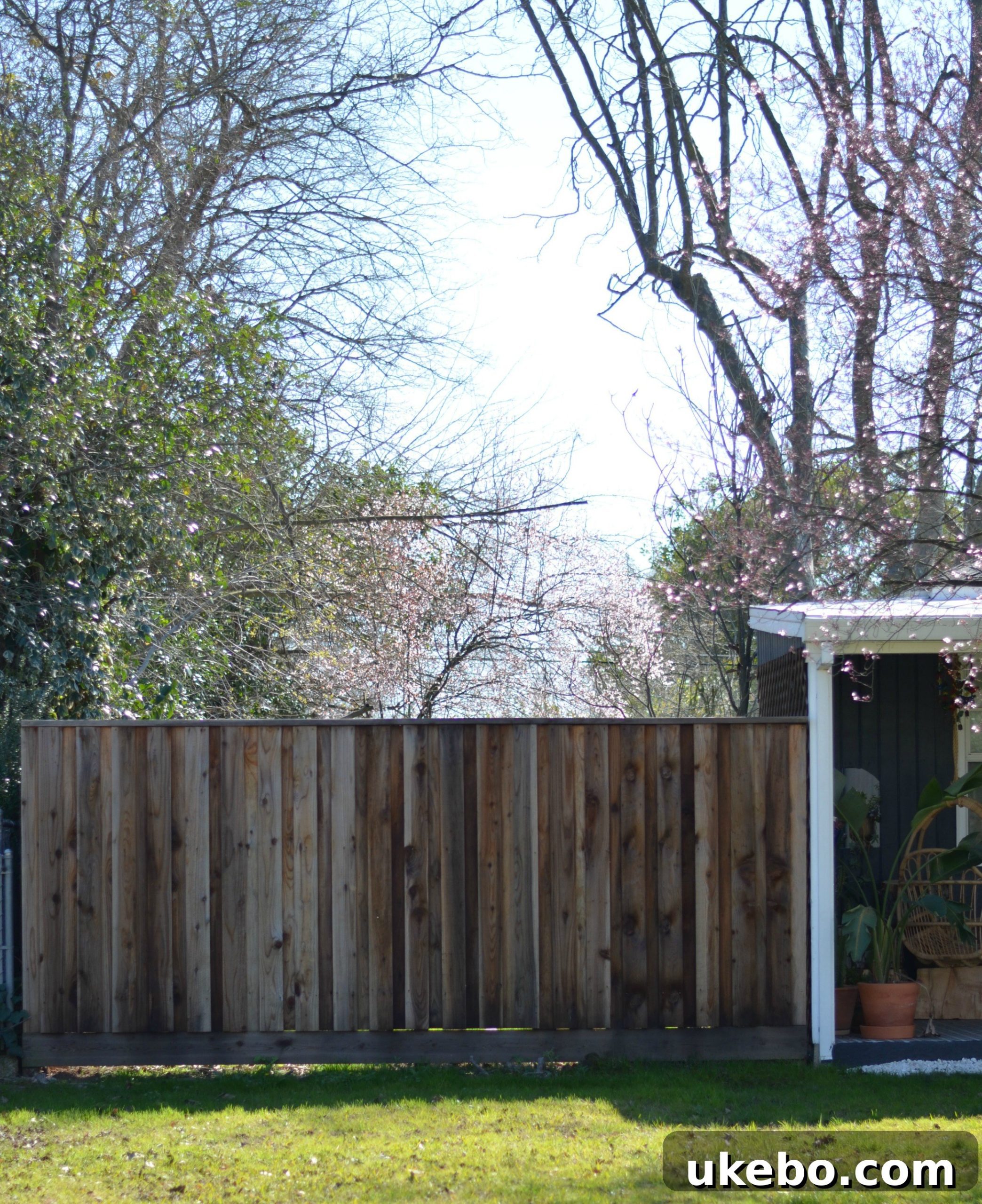 Tall, new redwood fence dramatically improving privacy and security from the street into the backyard.