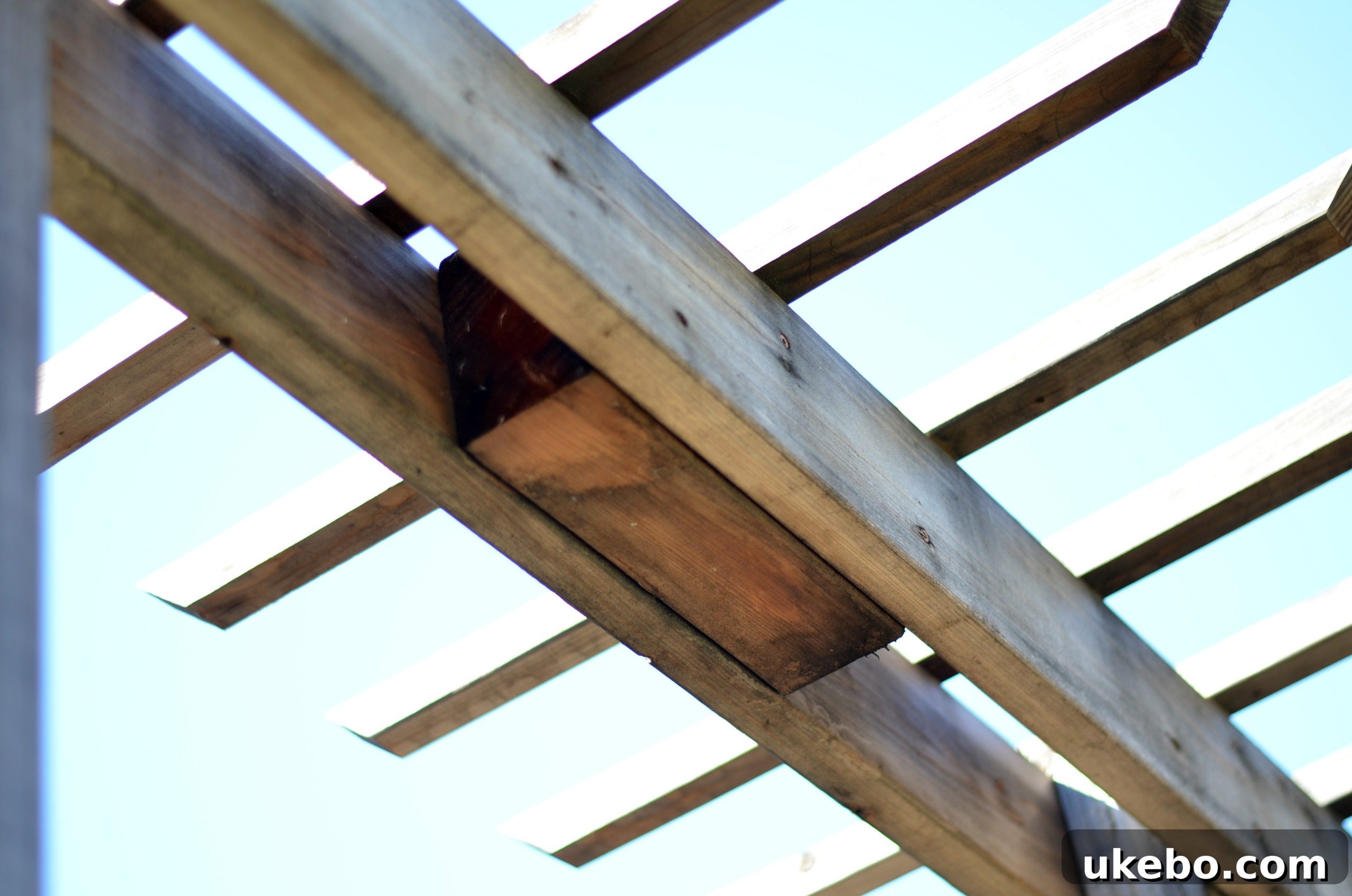 Center block integrated into the arbor's trellis, ideal for hanging decor.