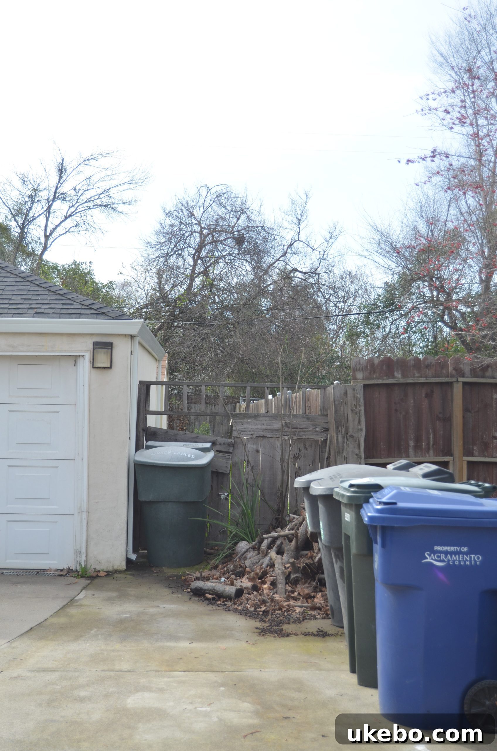 Another angle of the unkempt area next to the garage with the failing gate.