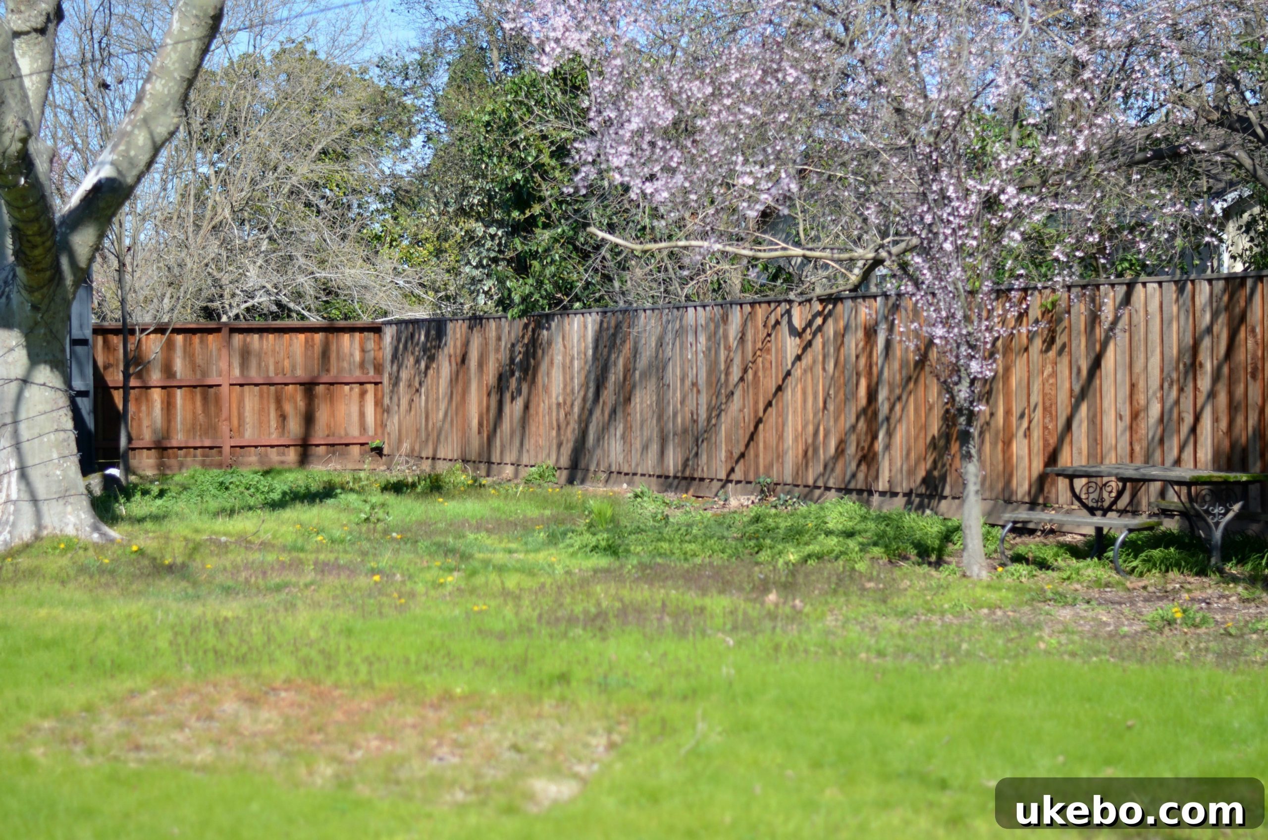 The finished, flat side of the redwood fence facing into the backyard for optimal aesthetics.